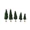 Mini sapins d’Ashland